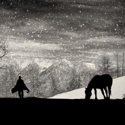 Contemporary Western