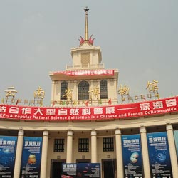 Asian Museum Artists A-Z