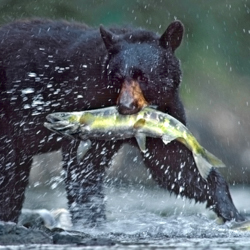 Artographie - Tim Fitzharris Award Winning Photographer