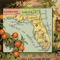 American States Cities & Places