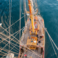 Artographie Sports & Recreation