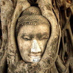 Artographie World Culture